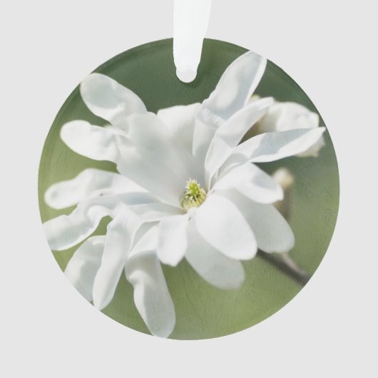 Blume White Magnolia Ornament (Vorderseite)