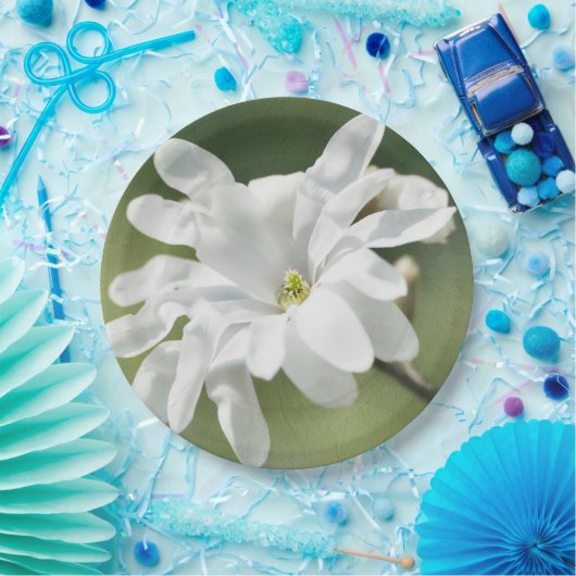 Blume White Magnolia Pappteller (Party)