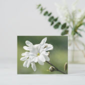 Blume White Magnolia Postkarte (Stehend Vorderseite)