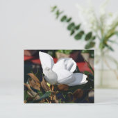 Blume White Magnolia Postkarte (Stehend Vorderseite)