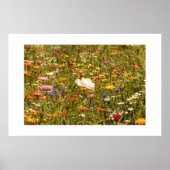 Blume - Wiese Poster (Vorne)