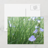 Blume-Wiese-Postkarte Postkarte (Vorne/Hinten)