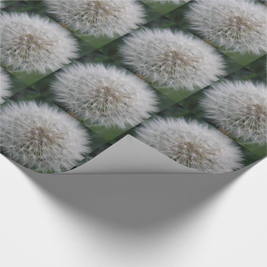 Blume-Wrapping-Papier für den Anleger Geschenkpapier (Ecke)