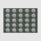 Blume-Zinnpapier Seidenpapier (Vorderseite)