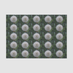 Blume-Zinnpapier Seidenpapier