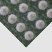 Blume-Zinnpapier Seidenpapier (Ausschnitt)