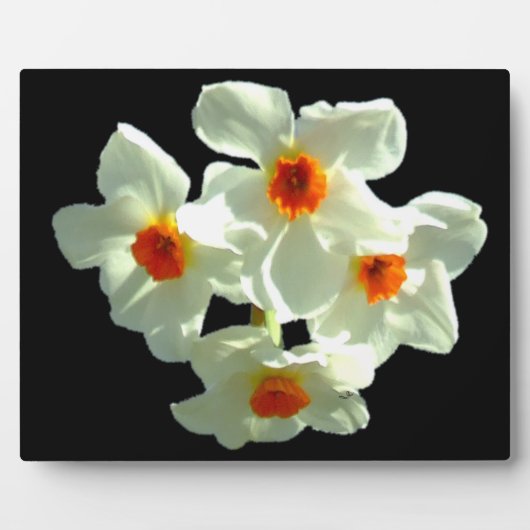 Blume zu Giftprodukten Fotoplatte (Vorderseite)