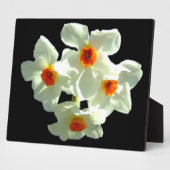 Blume zu Giftprodukten Fotoplatte (Seite)