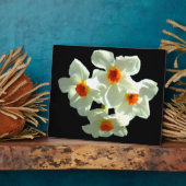 Blume zu Giftprodukten Fotoplatte (Seite)