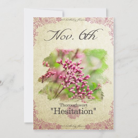Blume zum 6. November "Thoroughwort" Karte (Vorderseite)