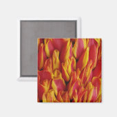 Blume zum Float anlässlich des Queen's Day Magnet (Vorderseite/Rückseite)