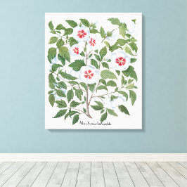 Blume zum Vintagen Hibiskus von Basilius Besler Leinwanddruck