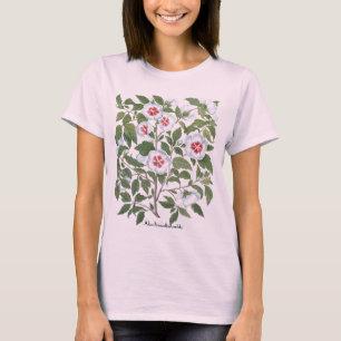 Blume zum Vintagen Hibiskus von Basilius Besler T-Shirt