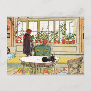 Blume zum Windows von Carl Larsson Postkarte