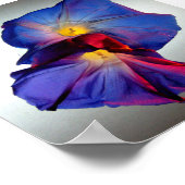 Blume zur Morgenruhe 3 Poster (Ecke)
