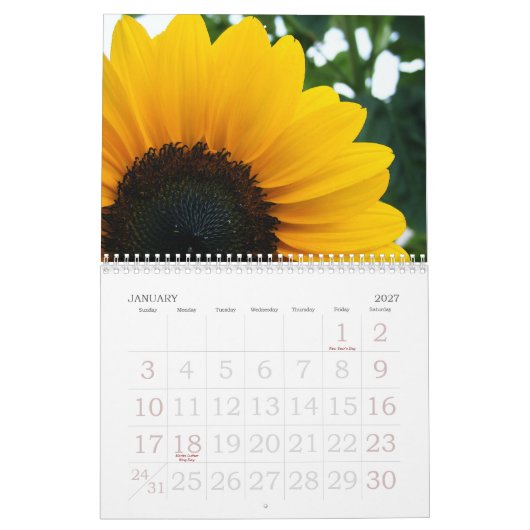 Blumen 2008 kalender (Jan 2027)
