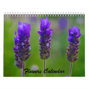 Blumen 2009 Kalender