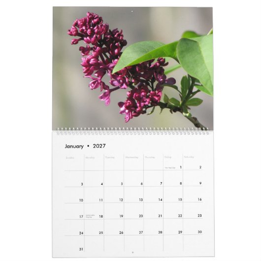 Blumen 2010 kalender (Jan 2027)