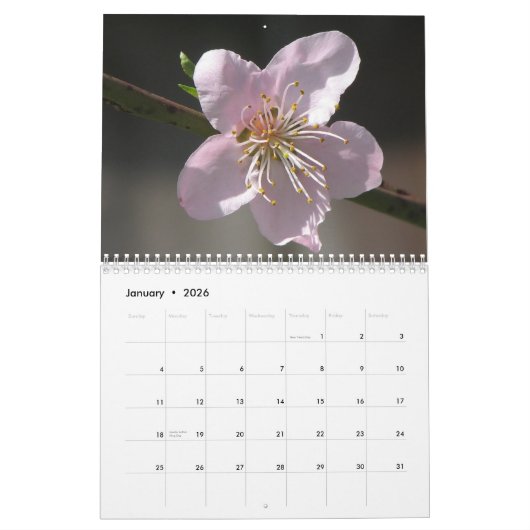Blumen 2011 kalender (Jan 2026)