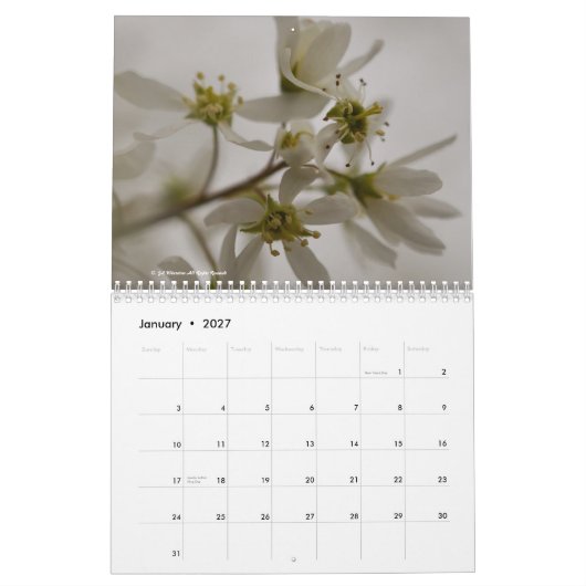Blumen 2015 kalender (Jan 2027)