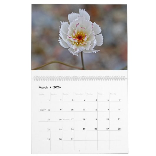 Blumen 2017 kalender (Mär 2026)