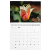 Blumen 2017 kalender (Jan 2027)