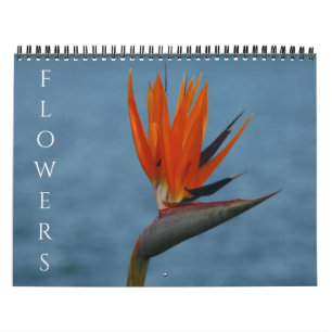 Blumen 2027 kalender
