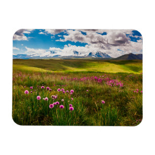 Blumen   Altai, Sibirien, Russland Magnet