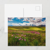Blumen | Altai, Sibirien, Russland Postkarte (Vorne/Hinten)