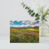 Blumen | Altai, Sibirien, Russland Postkarte (Stehend Vorderseite)