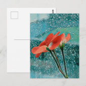 Blumen am Fenster Postkarte (Vorne/Hinten)