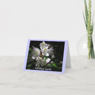 Blumen auf Beileids-Karte Karte