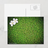 Blumen auf dem Rasen Postkarte (Vorne/Hinten)