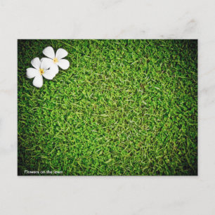 Blumen auf dem Rasen Postkarte