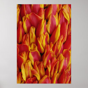 Blumen auf einem Wagen zur Feier des Königinnentag Poster