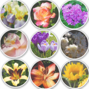 Blumen Aufkleber