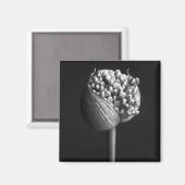 Blumen | B&W Allium Blume Bud Magnet (Vorderseite/Rückseite)