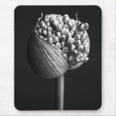 Blumen | B&W Allium Blume Bud Mousepad (Vorne)