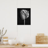 Blumen | B&W Allium Blume Bud Poster (Küche)