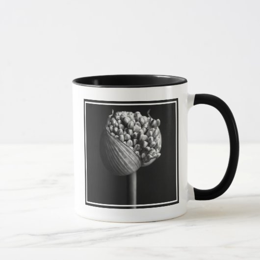 Blumen | B&W Allium Blume Bud Tasse (Rechts)
