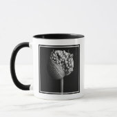Blumen | B&W Allium Blume Bud Tasse (Links)