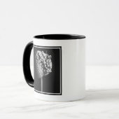 Blumen | B&W Allium Blume Bud Tasse (Vorderseite Links)