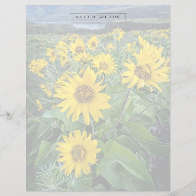 Blumen | Balsomroot Columbia River, Oregon (Vorderseite)