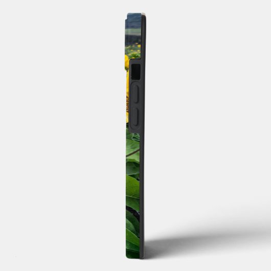 Blumen | Balsomroot Columbia River, Oregon Case-Mate iPhone Hülle (Rückseite / Links)