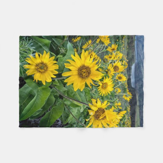 Blumen | Balsomroot Columbia River, Oregon Fleecedecke (Vorderseite (Horizontal))