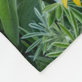 Blumen | Balsomroot Columbia River, Oregon Fleecedecke (Ecke)