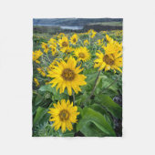 Blumen | Balsomroot Columbia River, Oregon Fleecedecke (Vorderseite)