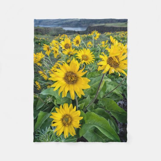Blumen | Balsomroot Columbia River, Oregon Fleecedecke (Vorderseite)