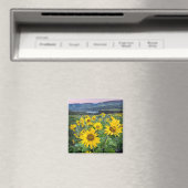 Blumen | Balsomroot Columbia River, Oregon Magnet (In Situ (Geschirrspüler))