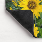 Blumen | Balsomroot Columbia River, Oregon Mousepad (Ecke)